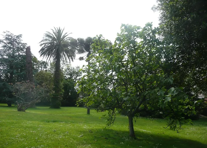 Las Carolinas Garden