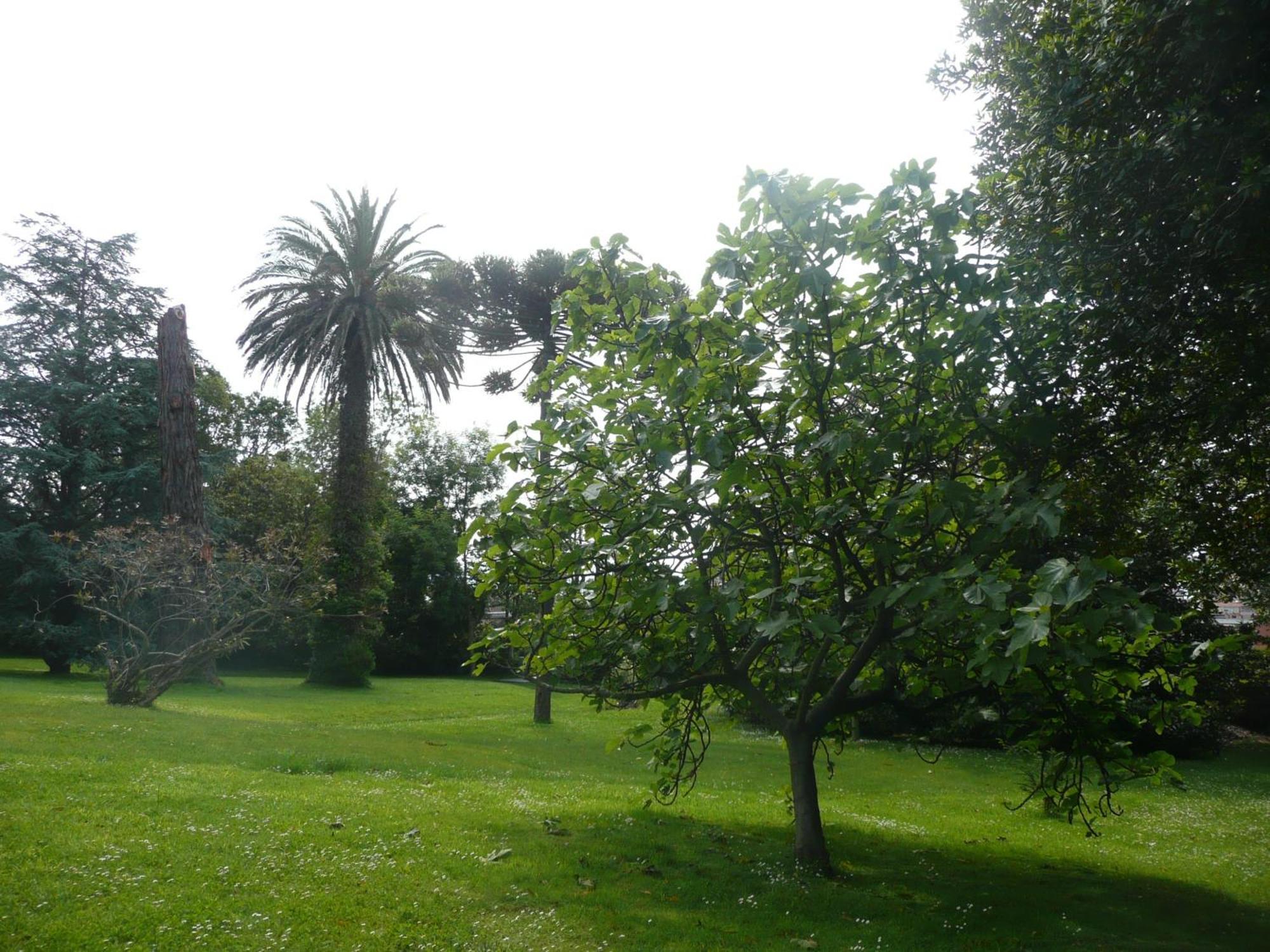 Affittacamere Carolinas Garden