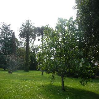 Affittacamere Carolinas Garden Santander